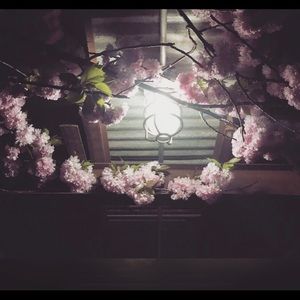 Meet your Posher, Jess